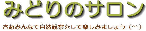 ݂ǂ̃T